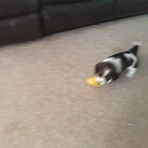 Meet your Posher, Tina