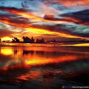 Meet your Posher, Ron