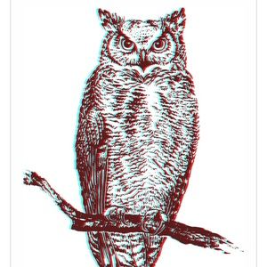 Meet your Posher, Todd