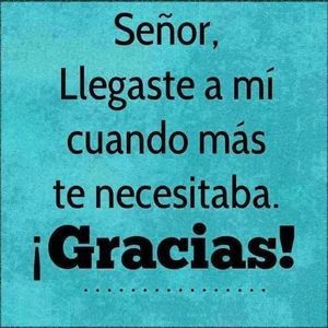 Meet your Posher, Alexander