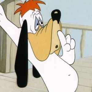 Meet your Posher, Ty