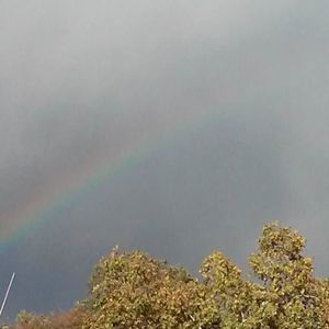 Meet your Posher, Rebeca