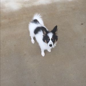 Meet your Posher, Celina