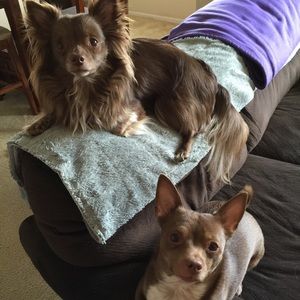 Meet your Posher, Michelle