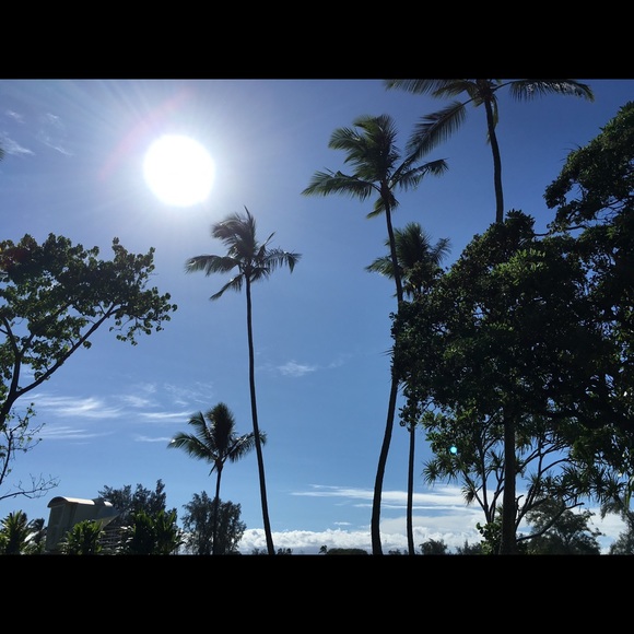 Meet your Posher, Deidre