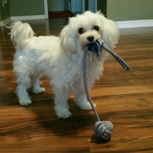 Meet your Posher, Susan