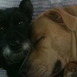 Meet your Posher, Connie