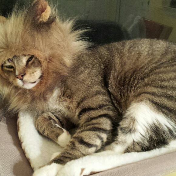 Meet your Posher, Kelly - Picture 3 of 6