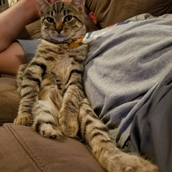 Meet your Posher, Kelly - Picture 5 of 6