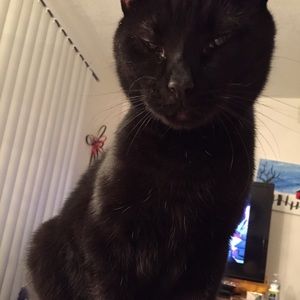 Meet your Posher, Steph