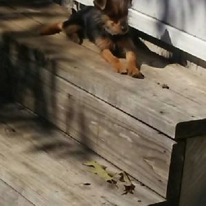 Meet your Posher, Lynette