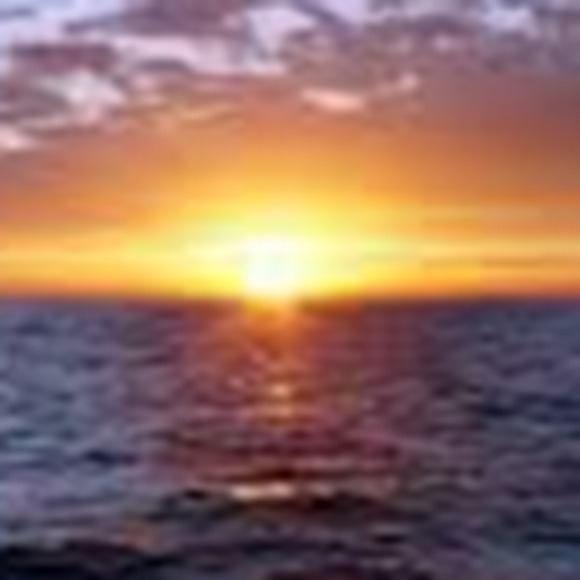 Meet your Posher, Bridget