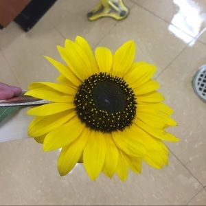 Meet your Posher, Katelyn