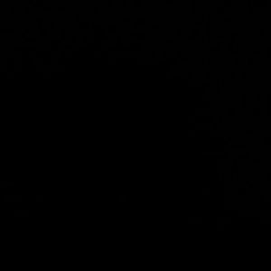 Meet your Posher, Sherry