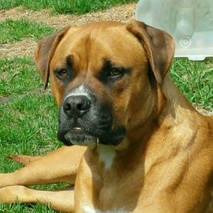 Meet your Posher, Jamie