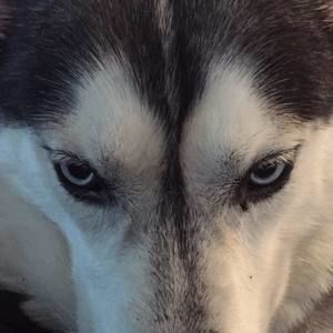 Meet your Posher, Katherine