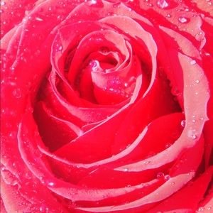 Meet your Posher, Lutzia