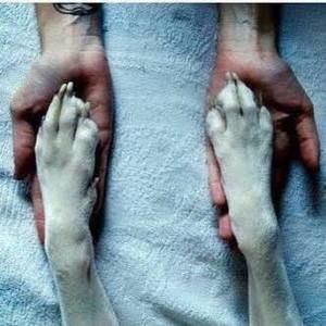 Meet your Posher, Anne