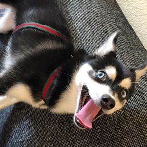 Meet your Posher, Kim