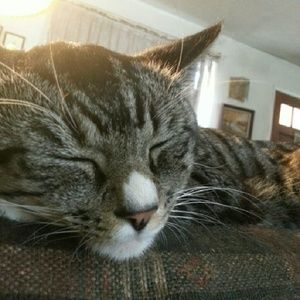 Meet your Posher, Marlene