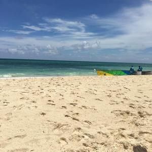 Meet your Posher, Regina