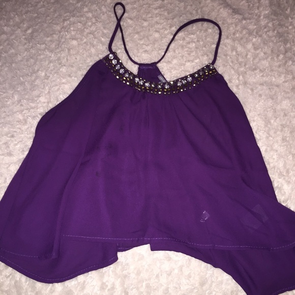 Purple Sheer Embroidered Crop Top