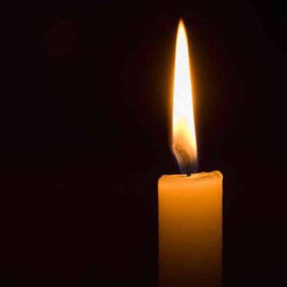 Meet your Posher, Mark michael - Picture 1 of 1