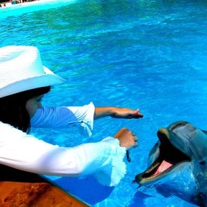 Meet your Posher, Janel