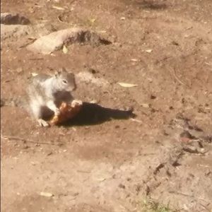 Meet your Posher, Angelica