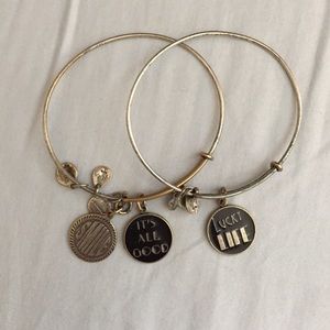 Alex and Ani set of two