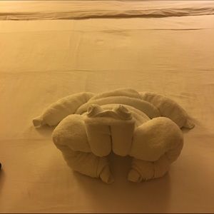 Meet your Posher, Payton