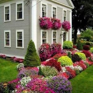 Meet your Posher, Chuong