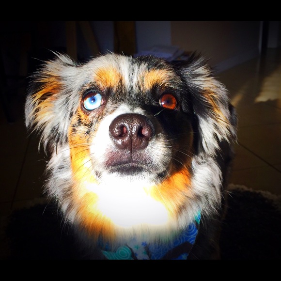 Meet your Posher, Evan - Picture 1 of 1