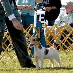 Meet your Posher, Joann