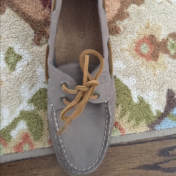 GREY SPERRY - Picture 3 of 4