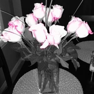 Meet your Posher, Joy