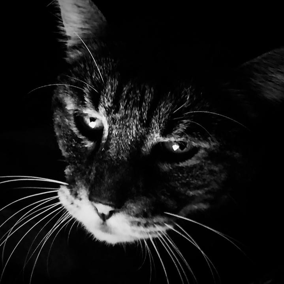 Meet your Posher, Sarah - Picture 1 of 1