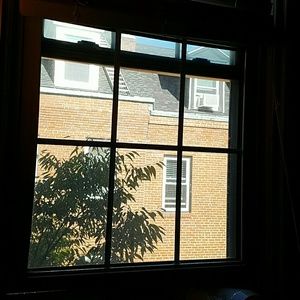 Meet your Posher, Ellen