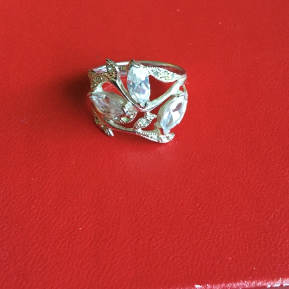 Ss Ring - image 1