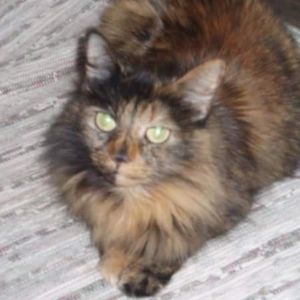 Meet your Posher, Nancy