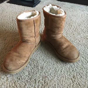 Classic Short chestnut UGGS