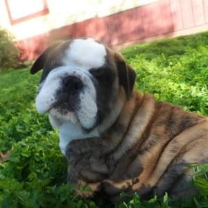 Meet your Posher, Susan