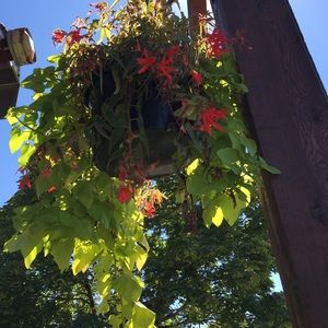 Meet your Posher, Robin