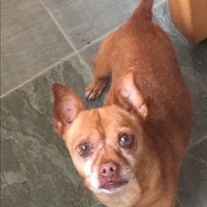 Meet your Posher, Linda