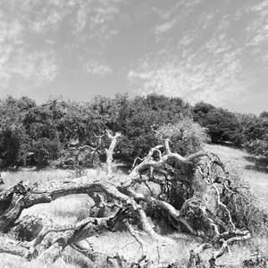 Meet your Posher, Ruby