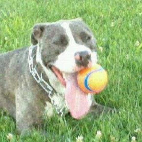 Meet your Posher, Kara