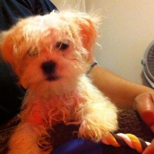 Meet your Posher, Nadja