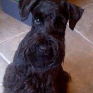 Meet your Posher, Patricia