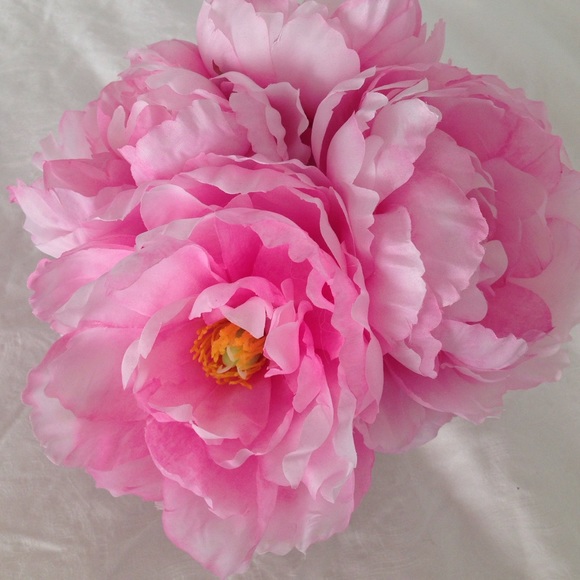 Meet your Posher, Lorie