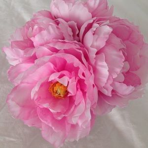 Meet your Posher, Lorie